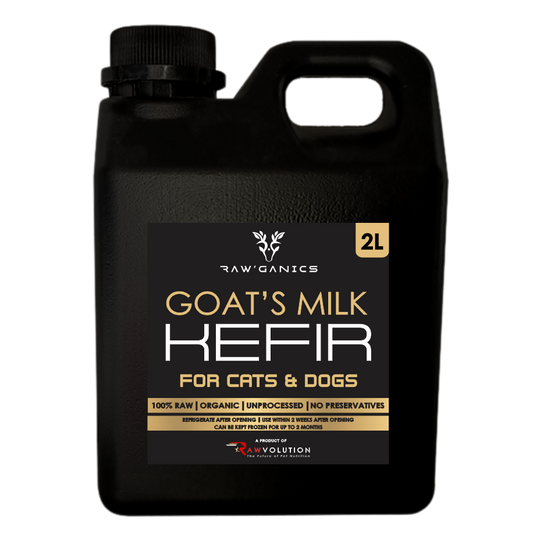 Goat's Milk Kefir