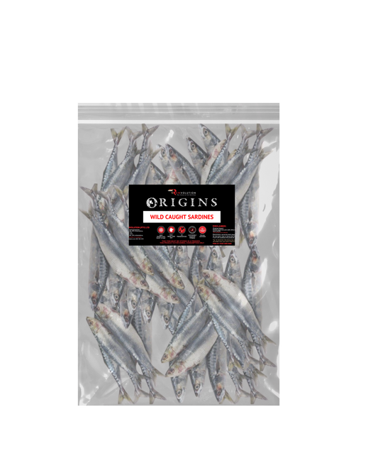 Wild Caught Sardines 2kg