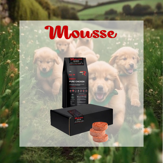 Mousse - Birdy