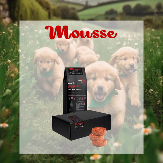 Mousse - Legendary Ranch
