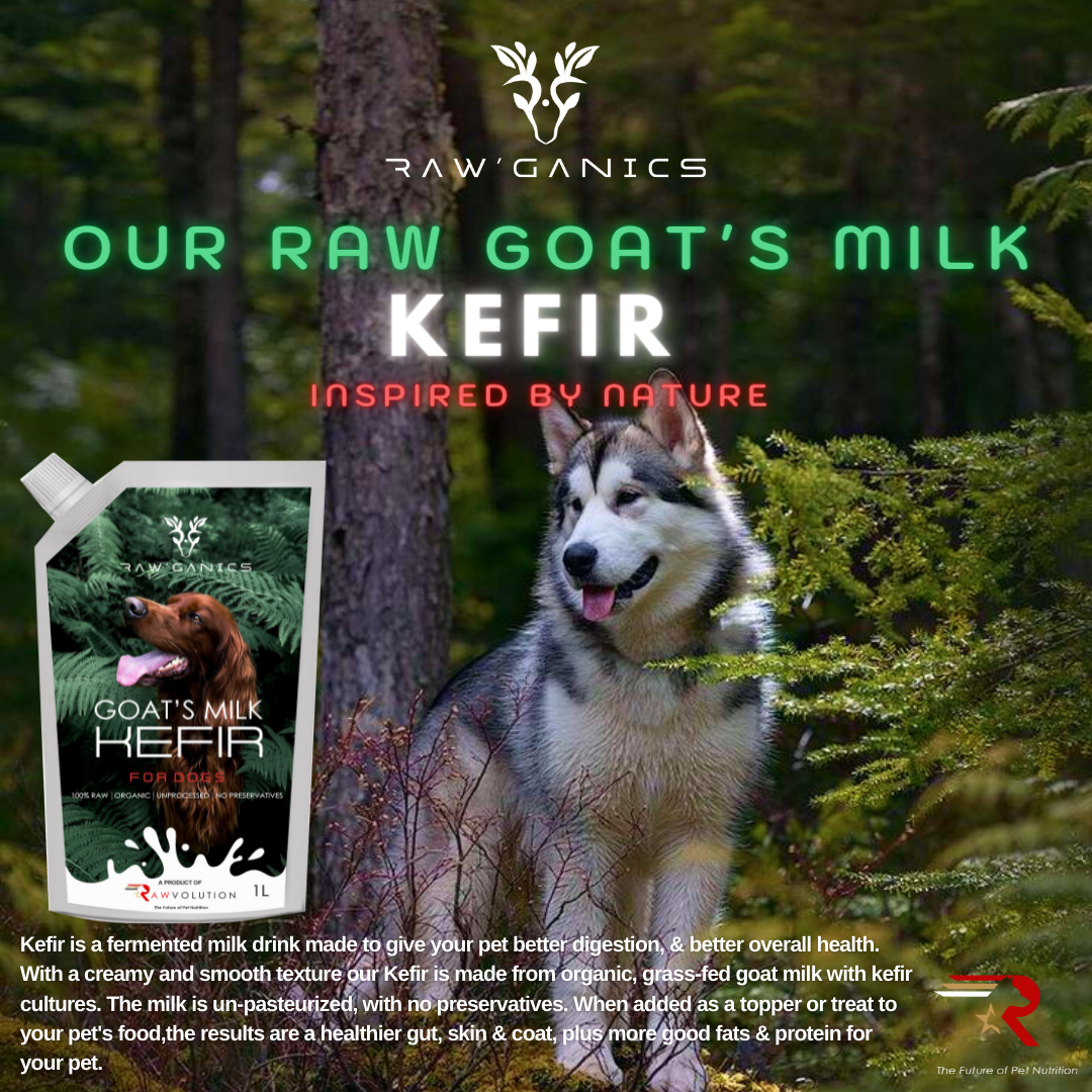 Goat's Milk Kefir