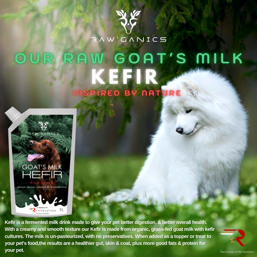 Goat's Milk Kefir