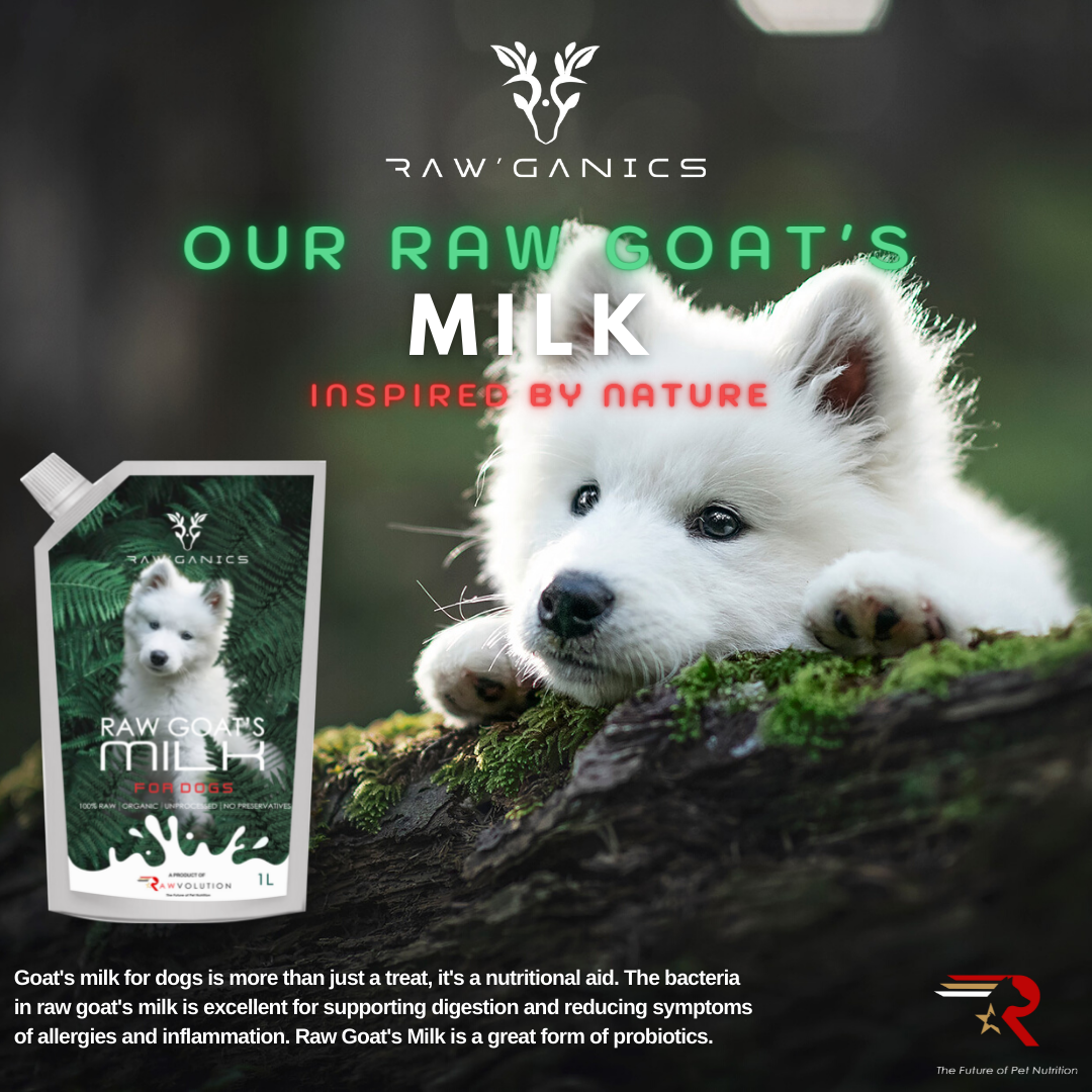 Goat milk for clearance dog allergies